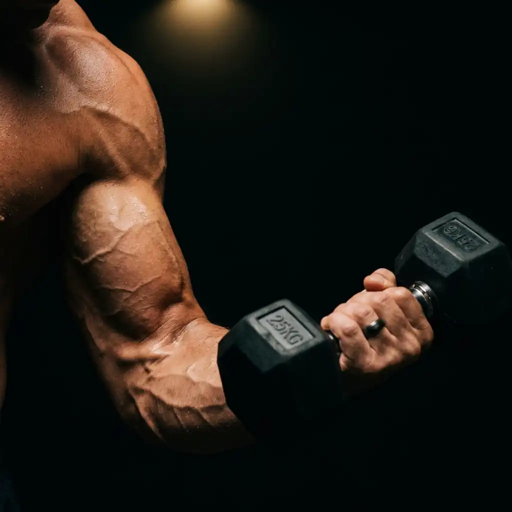 Musculación